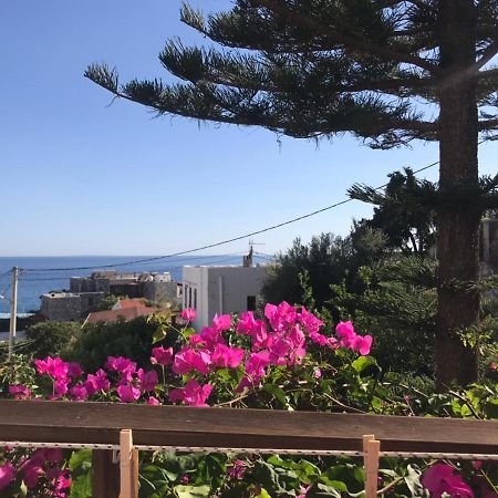 Garden House Διαμέρισμα Χώρα Σφακίων Εξωτερικό φωτογραφία
