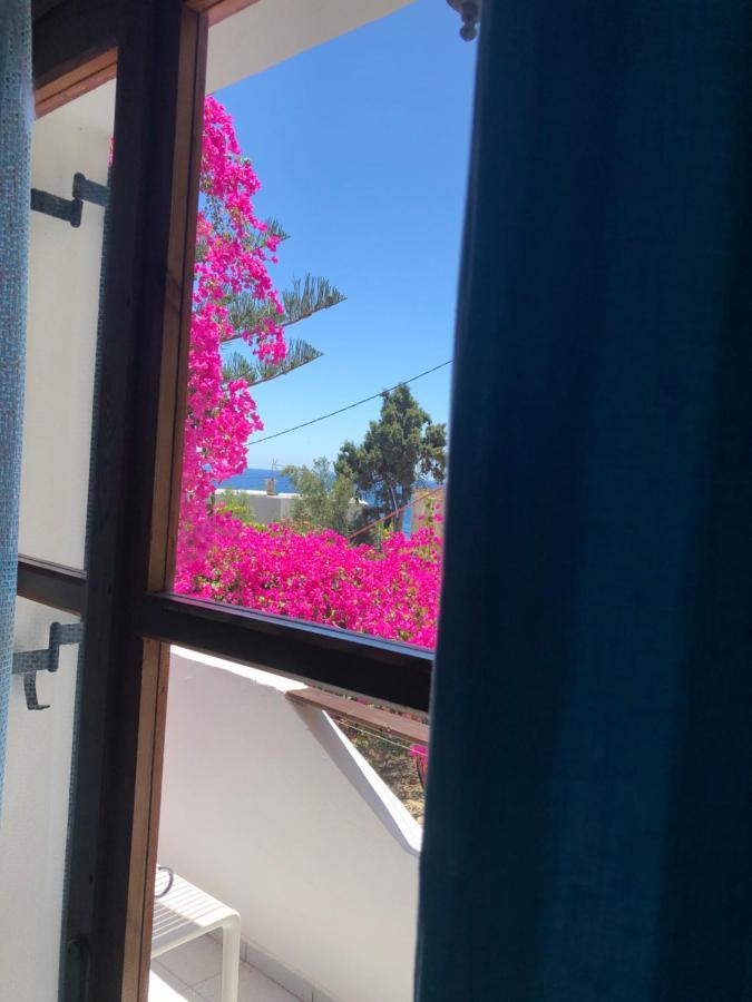 Garden House Διαμέρισμα Χώρα Σφακίων Εξωτερικό φωτογραφία