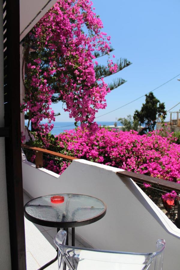 Garden House Διαμέρισμα Χώρα Σφακίων Εξωτερικό φωτογραφία