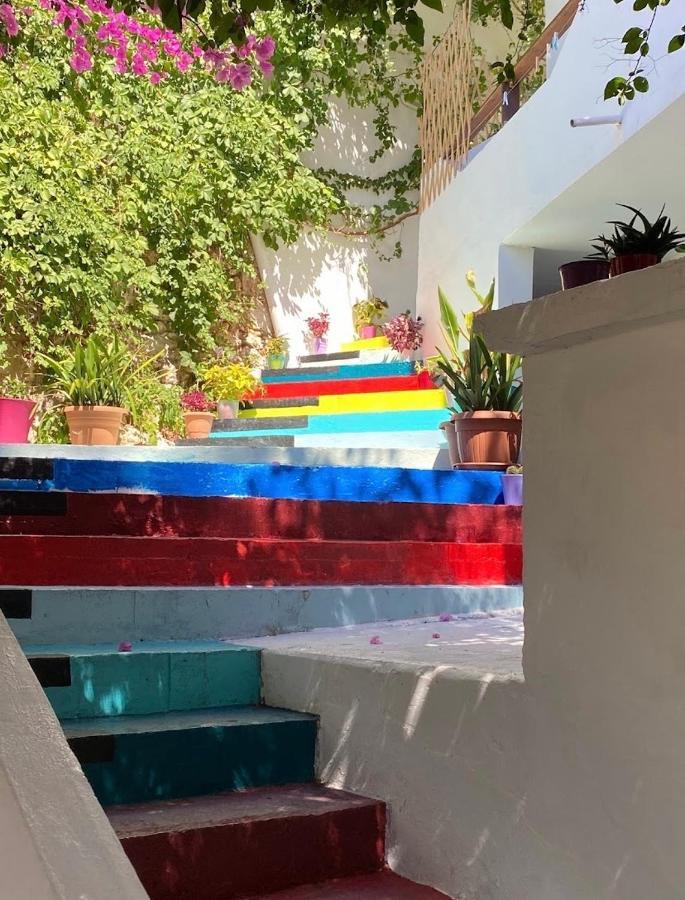 Garden House Διαμέρισμα Χώρα Σφακίων Εξωτερικό φωτογραφία