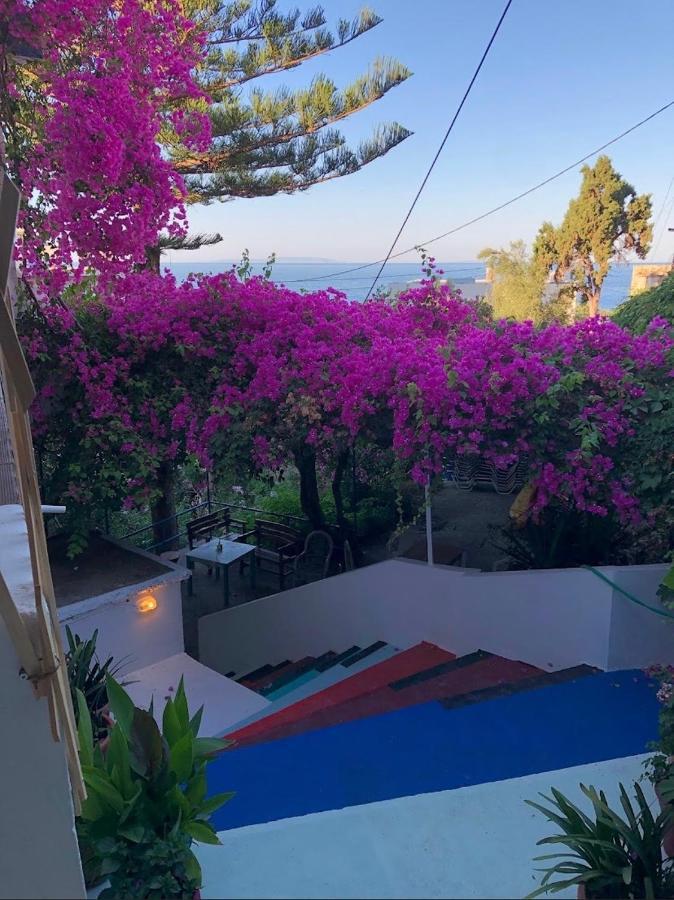 Garden House Διαμέρισμα Χώρα Σφακίων Εξωτερικό φωτογραφία