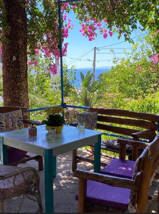 Garden House Διαμέρισμα Χώρα Σφακίων Εξωτερικό φωτογραφία