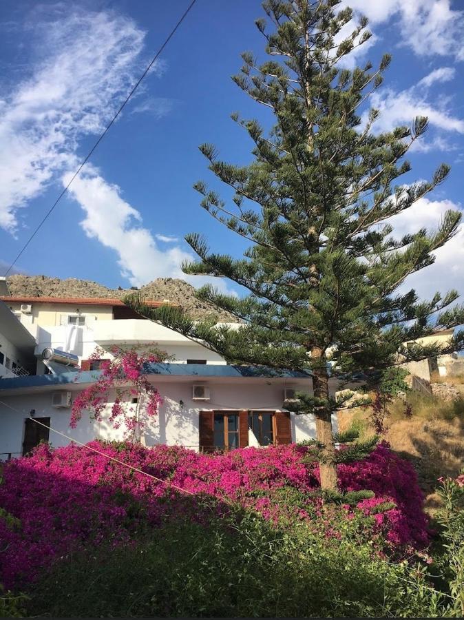 Garden House Διαμέρισμα Χώρα Σφακίων Εξωτερικό φωτογραφία
